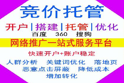 百度竞价排名实战：某电商平台的成功之路